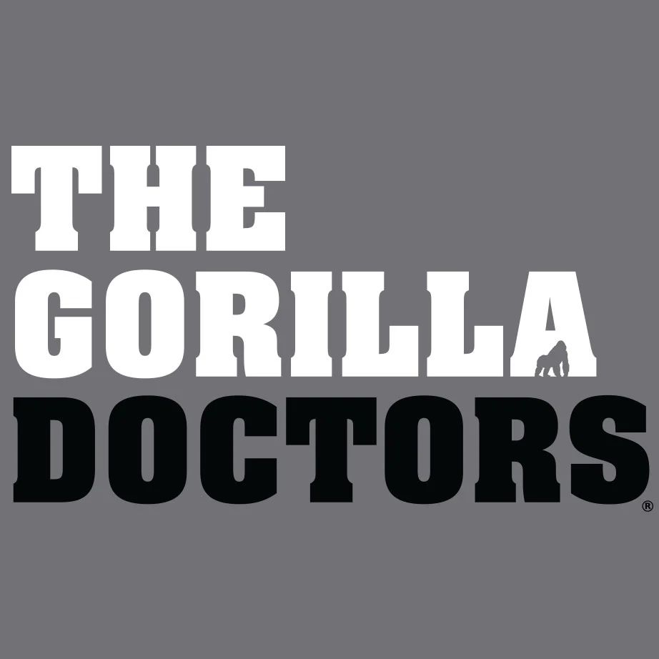 Gorilla Doctors - Ladies Triblend Dolman - Premium Heather - Image 2