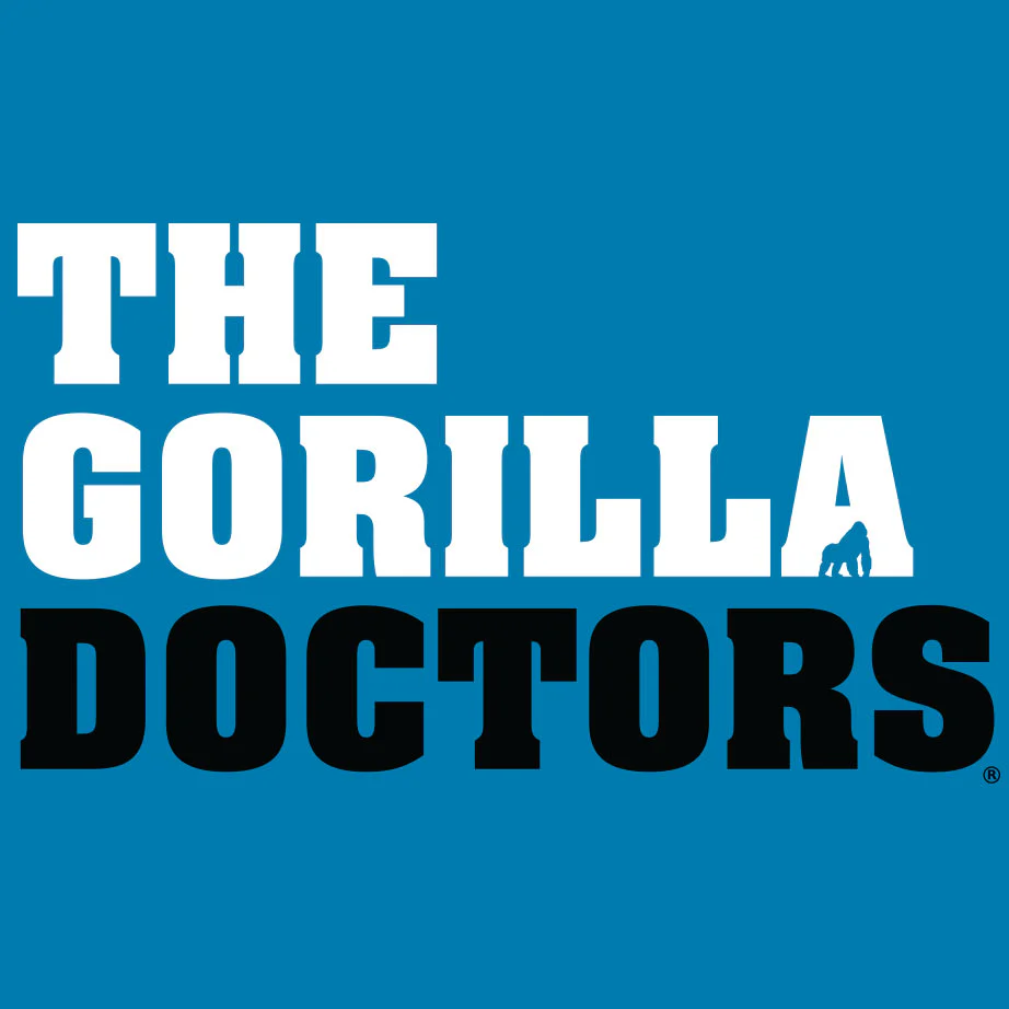 Gorilla Doctors - Ladies V-Neck - Turquoise - Image 2