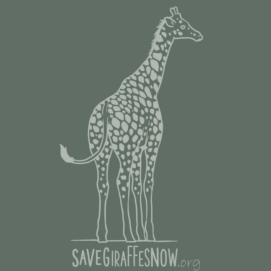 Save Giraffes Now - 100% ORGANIC Adult Allmade® Tee - Matcha Green - Image 4