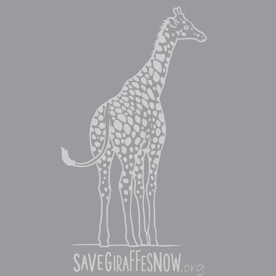 Save Giraffes Now - Ladies Triblend Dolman - Premium Heather - Image 4